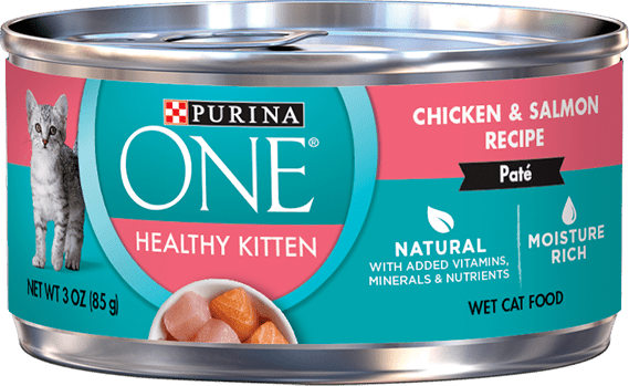 Purina ONE Healthy Kitten Chicken And Salmon Recipe